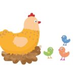 難聴ニワトリは有毛細胞が再生する！人間の内耳が再生する可能性は？京大のips細胞に期待